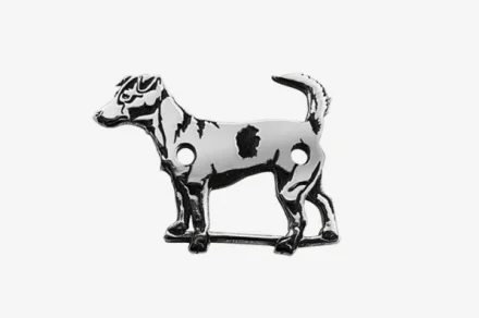 Jack Russel Terrier 2