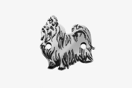 Máltai selyemkutya 2