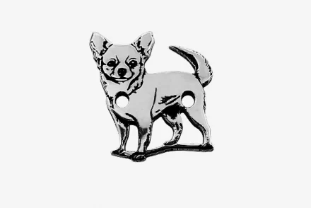 Chihuahua 2